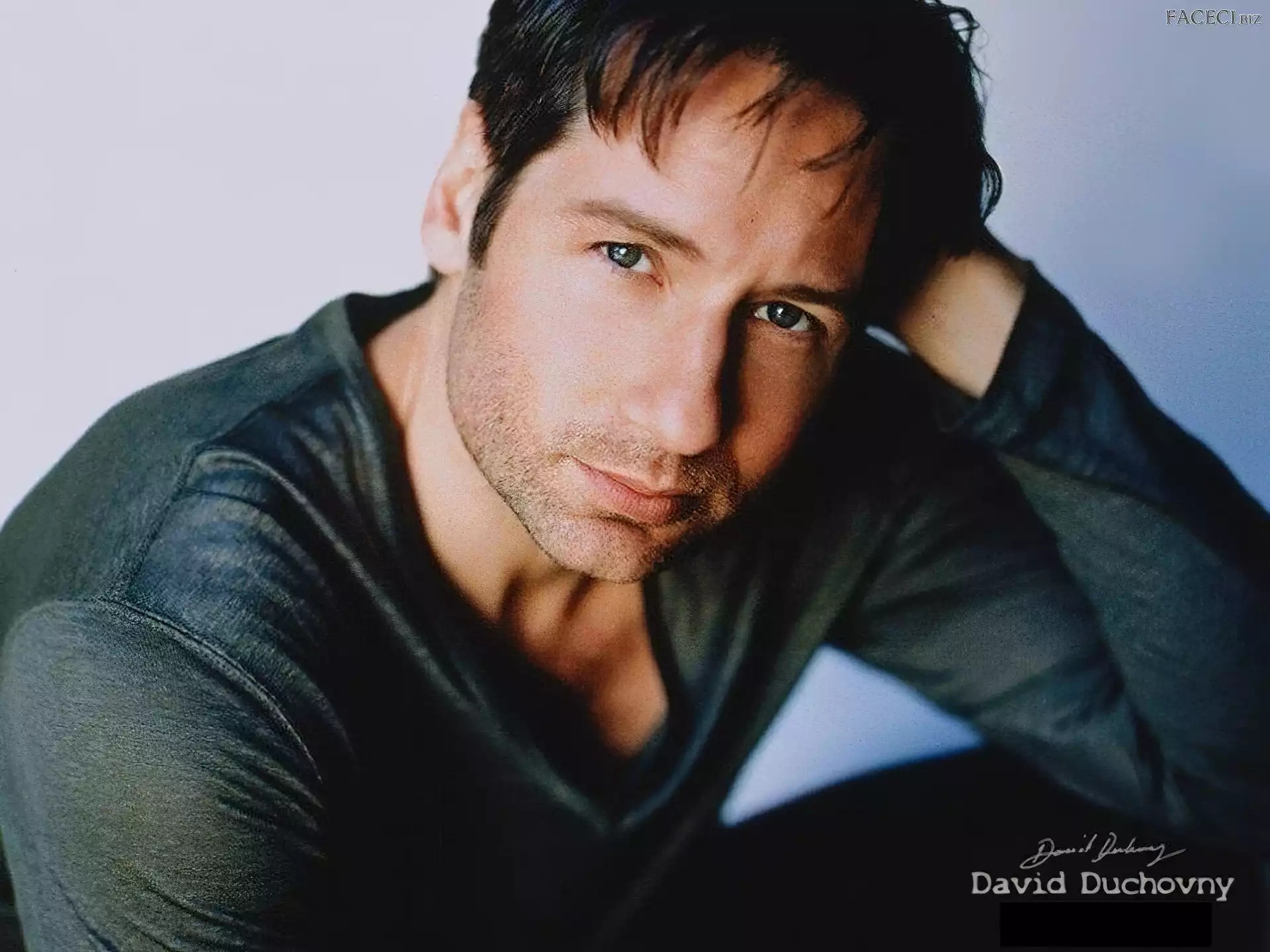 ciemna bluzka, David Duchovny