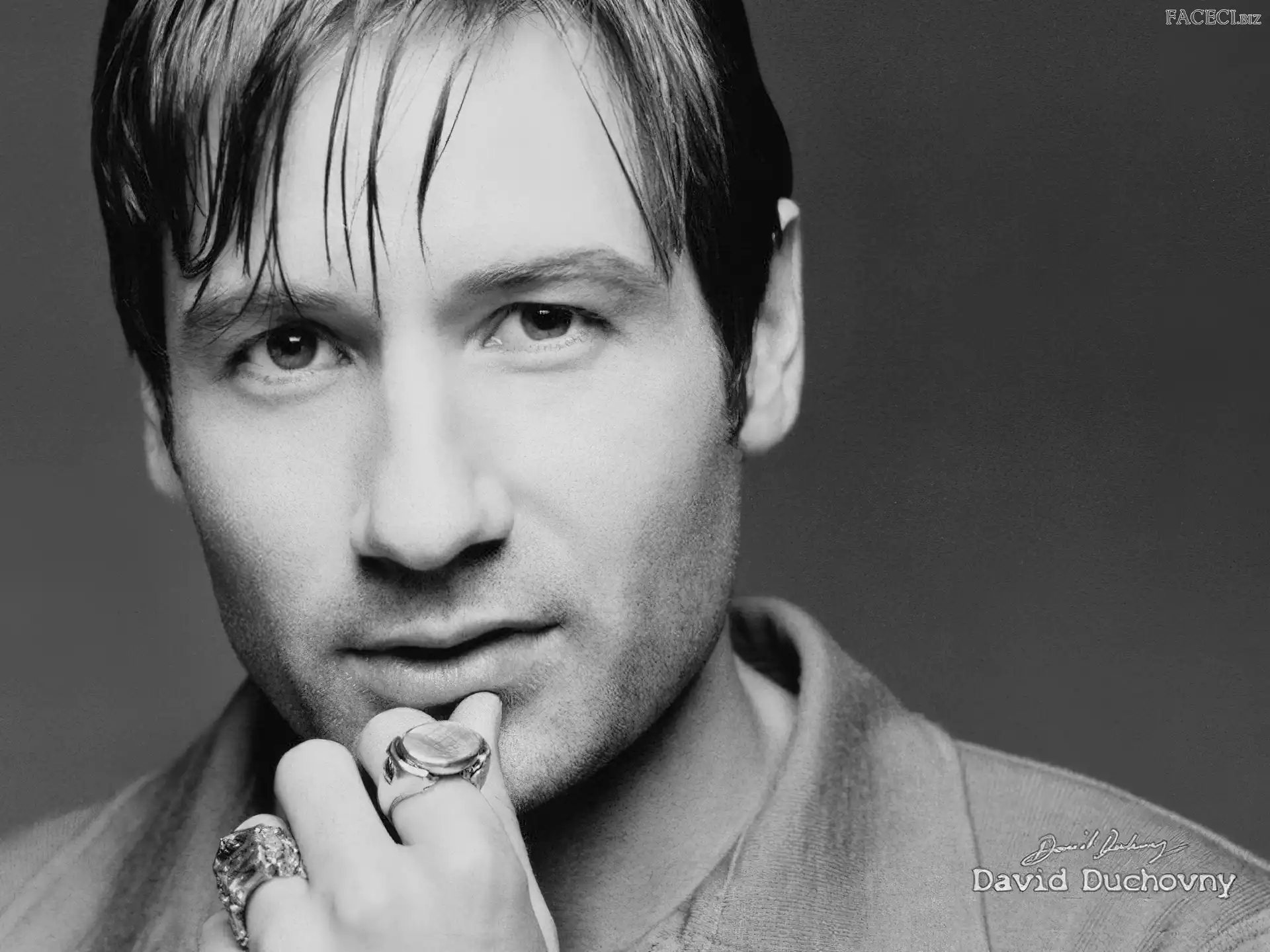 sygnety, David Duchovny