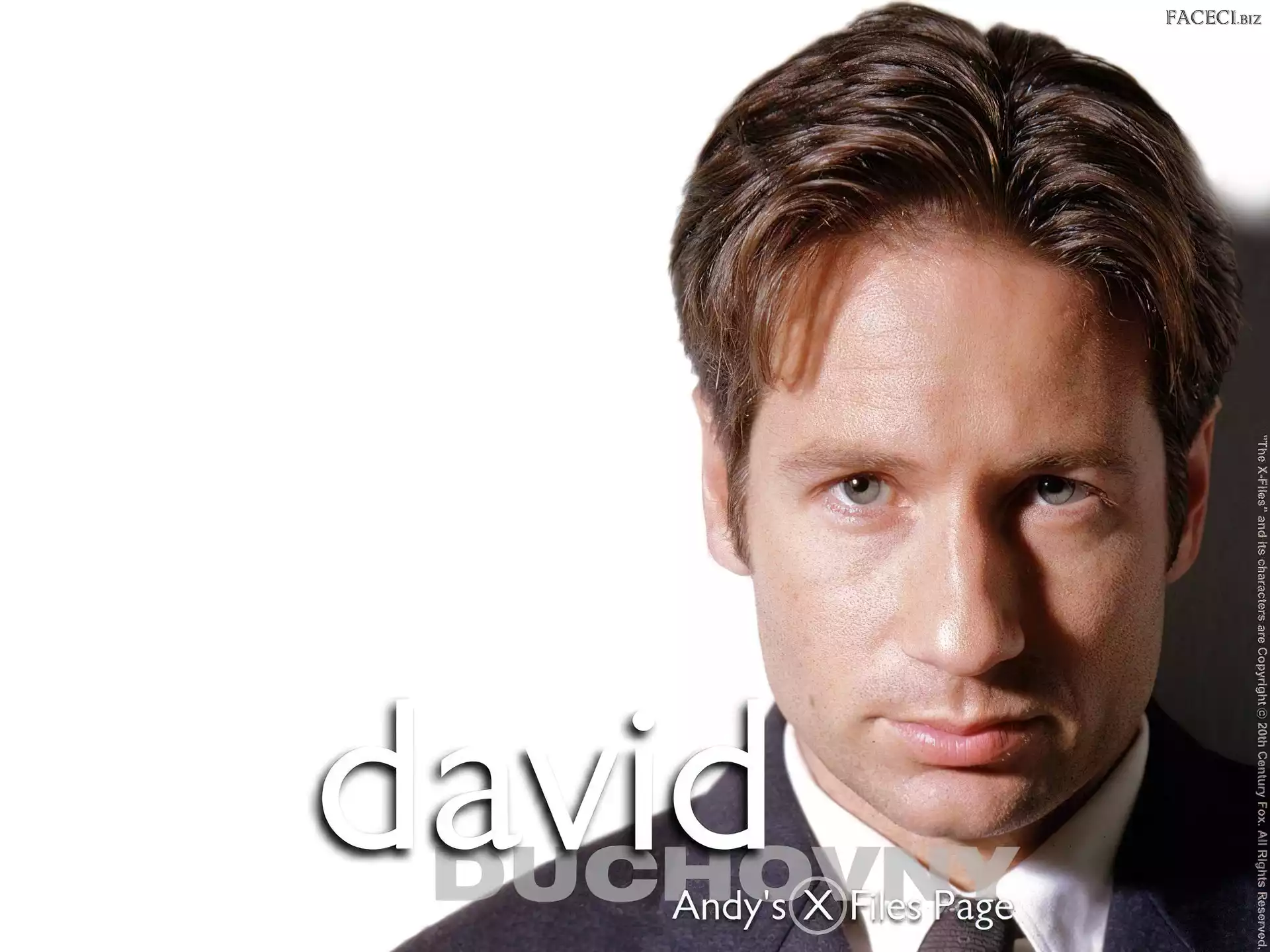 krawat, David Duchovny, koszula